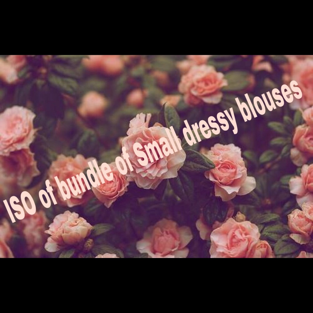 Im search of dressy tops bundle
